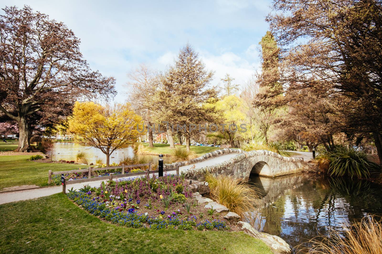 Queenstown Gardens in New Zealand by FiledIMAGE