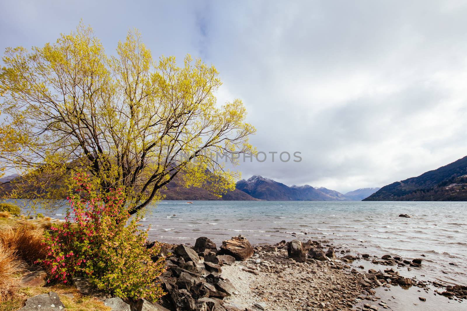 View over Lake Wakatipu from Queenstown Gardens on a sunny spring day in New Zealand