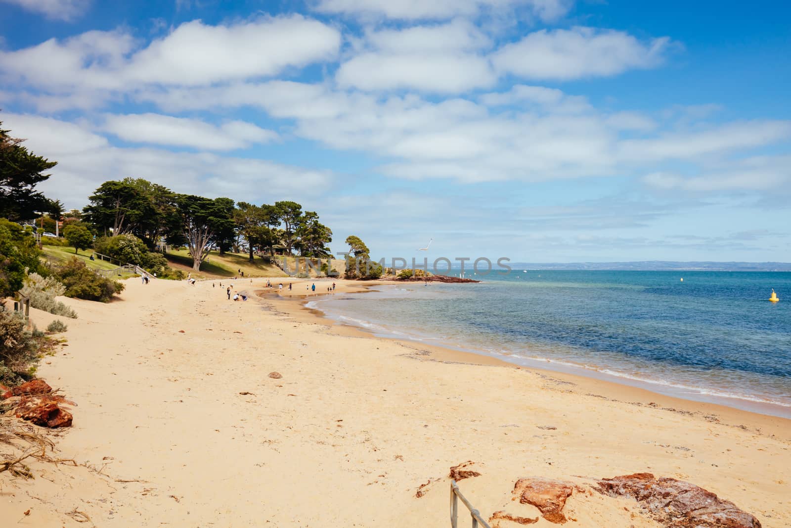 Cowes Foreshore and its iconic jetty and beach on a warm summer's day in Philip Island, Australia