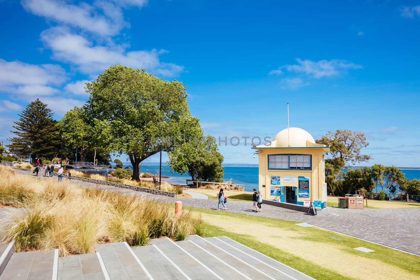 Cowes, Australia - December 8 2019: Cowes Foreshore and its iconic jetty and beach on a warm summer's day in Philip Island, Australia