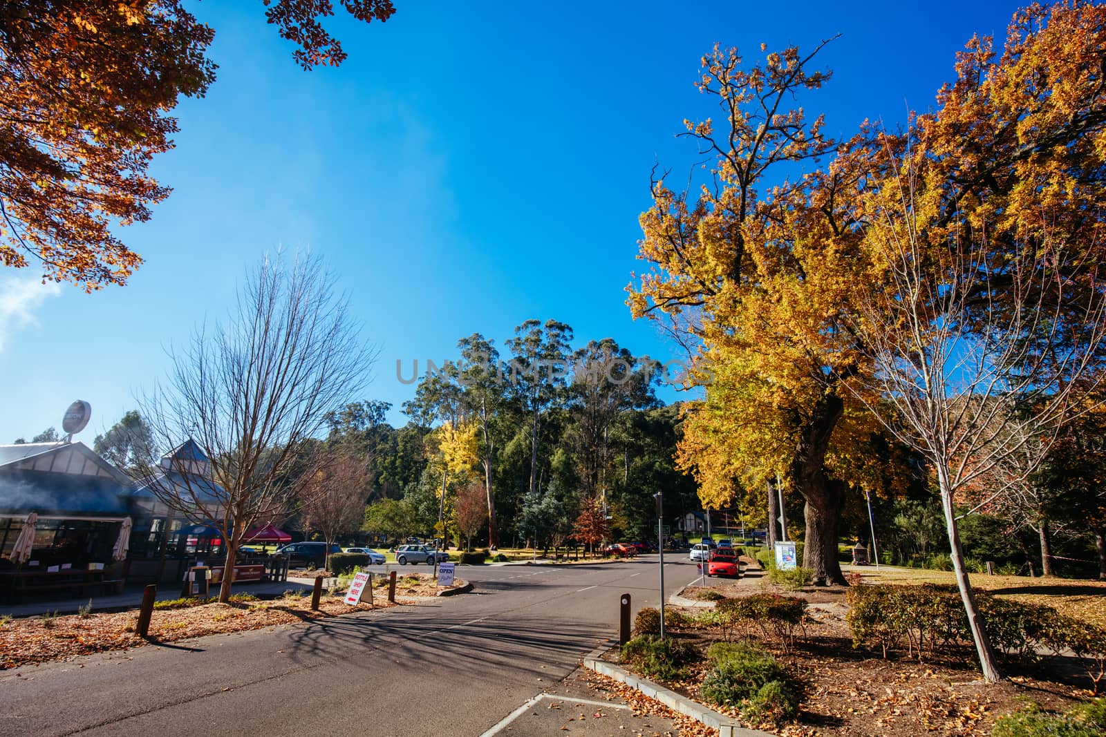 Marysville in Autumn Colours in Australia by FiledIMAGE