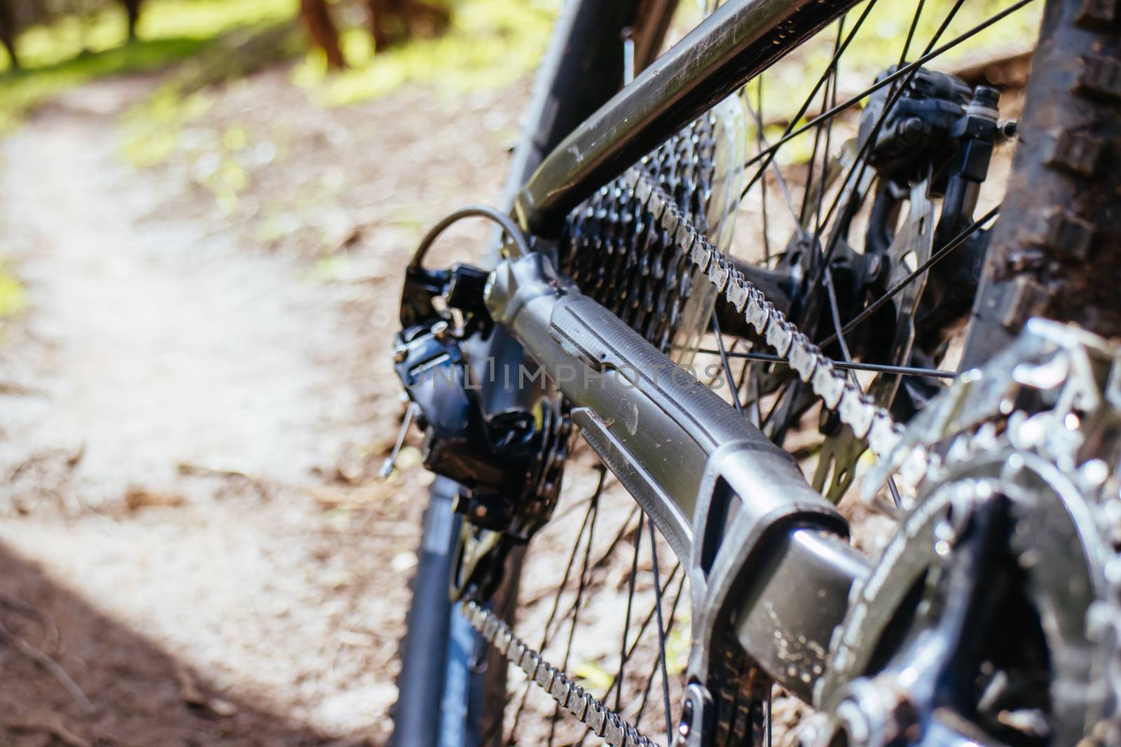 Mountain bike trails around Plenty Gorge in Northern Melbourne in Victoria, Australia