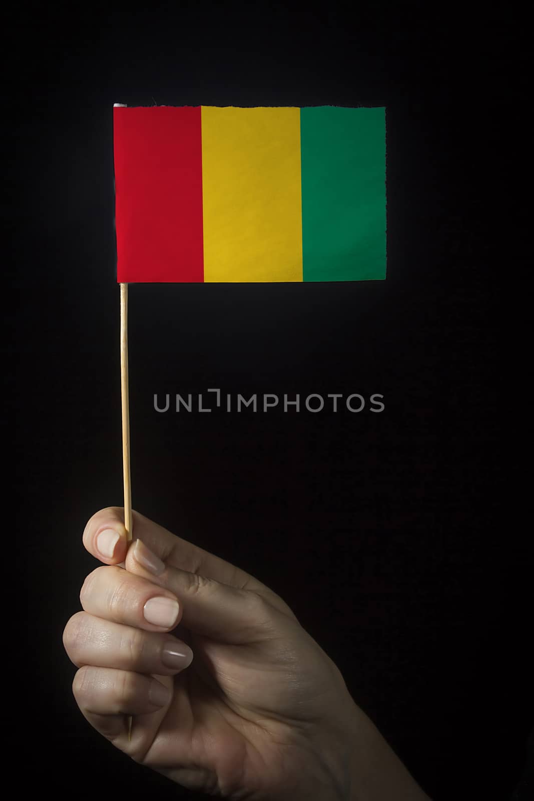Hand with flag of Guinea by VIPDesignUSA