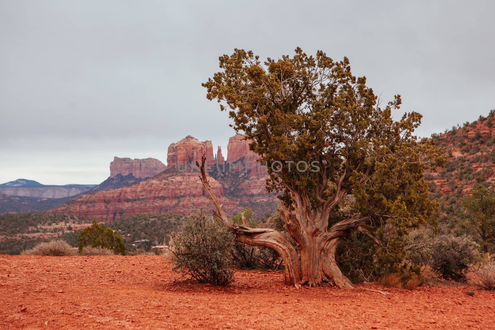 Cathedral Rock near Sedona on a winter's afternoon in Arizona, USA