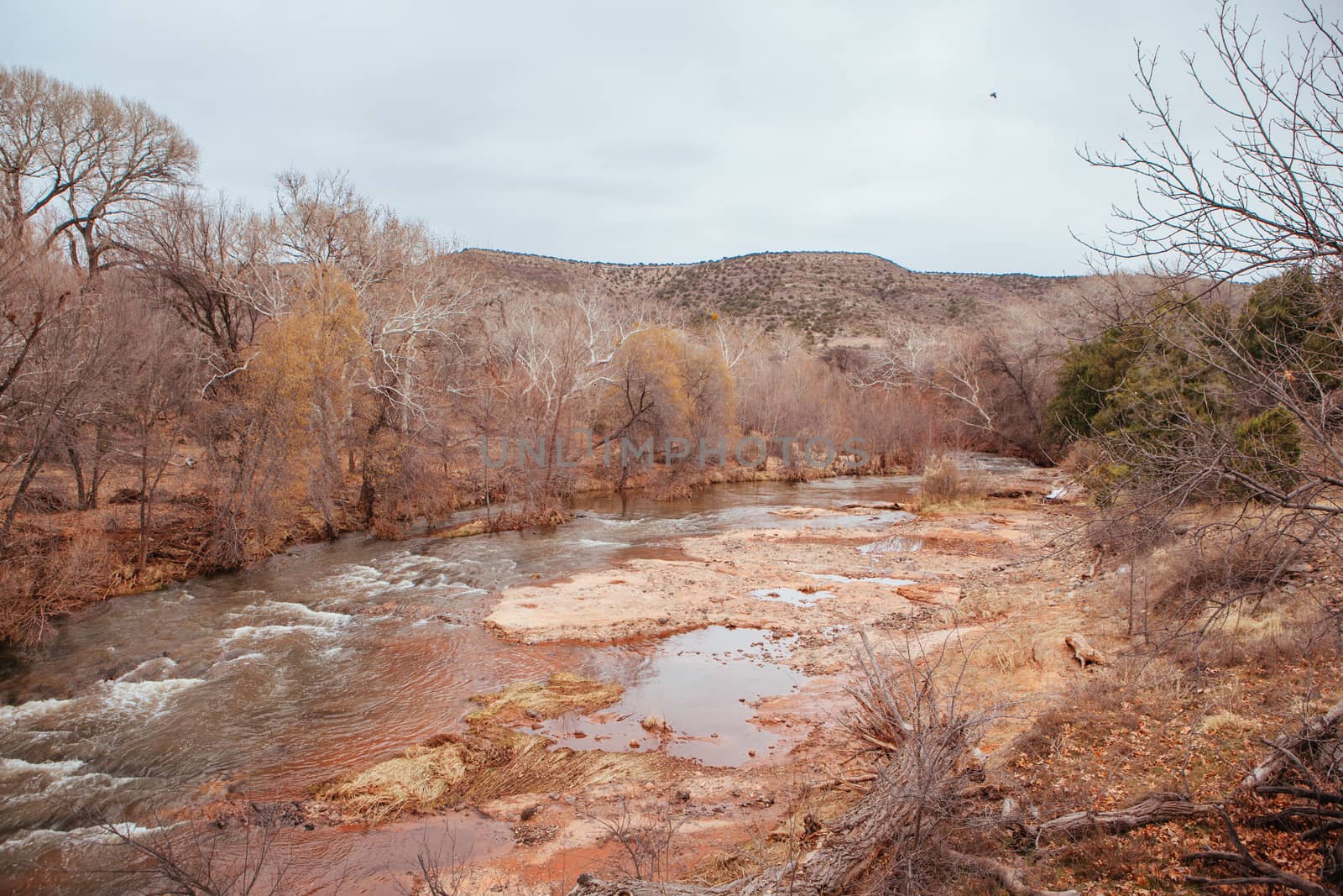 Page Springs vineyard on Oak Creek during winter near Cottonwood in Arizona, USA