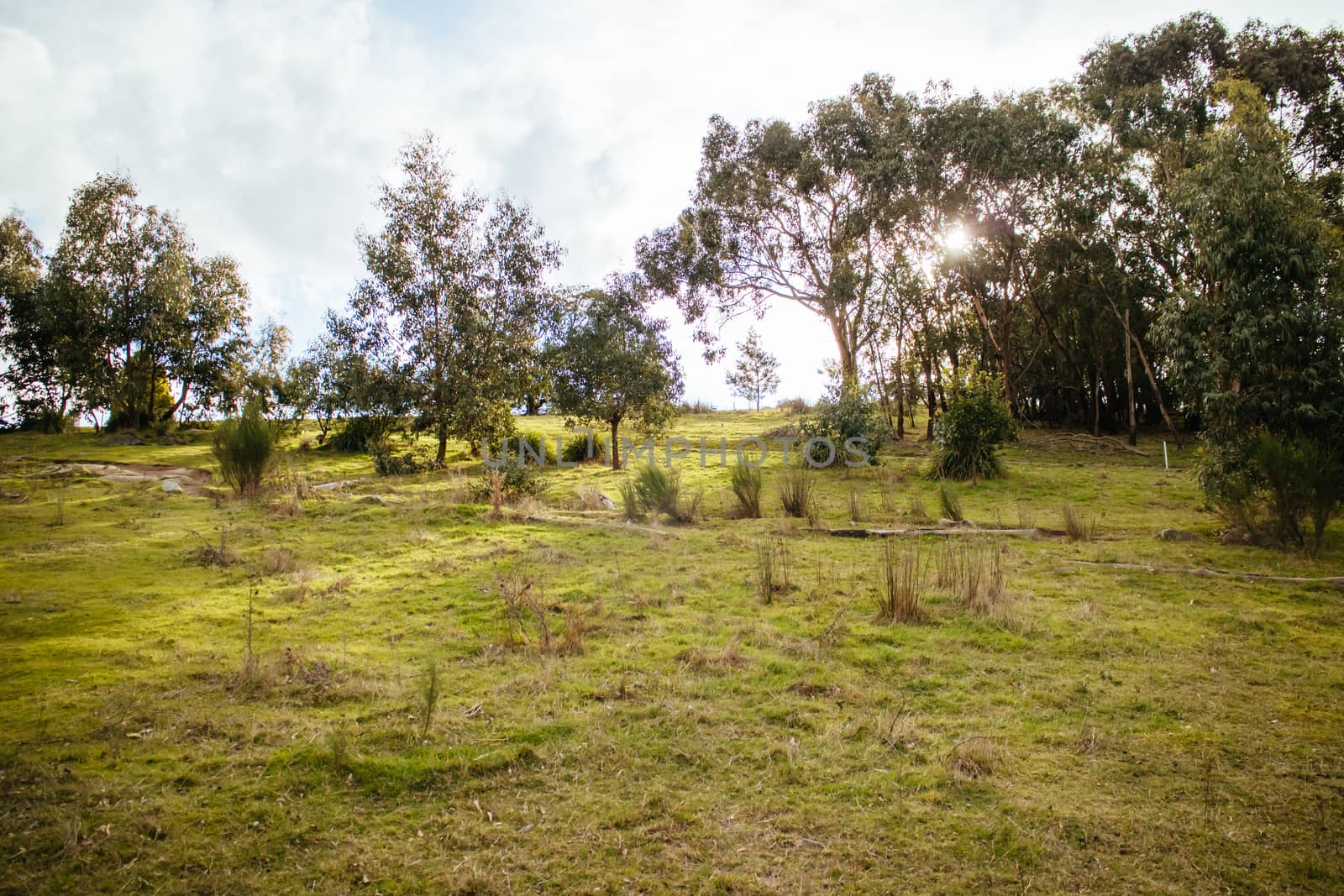 The popular Lysterfield mountain bike park in Churchill National Park situated in eastern Melbourne in Victoria, Australia