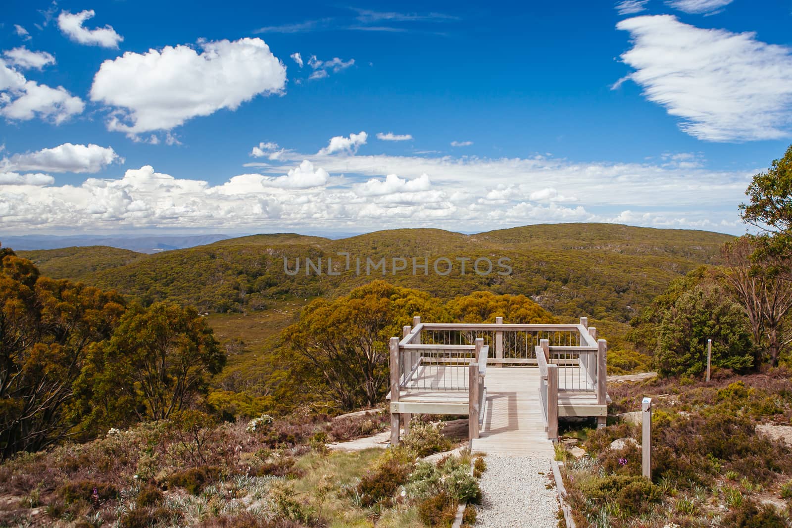 Mt Baw Baw Walking Trails in Summer in Australia by FiledIMAGE