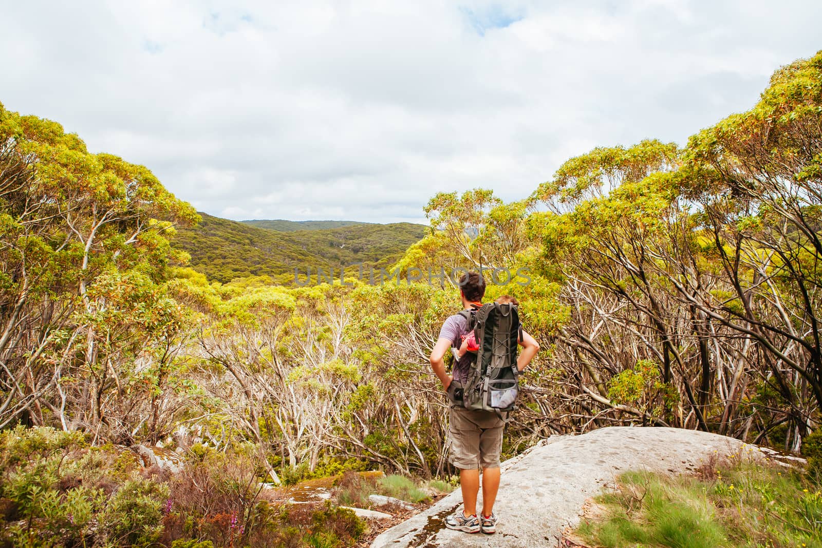 Mt Baw Baw landscape and walking trails during summer in Victoria, Australia