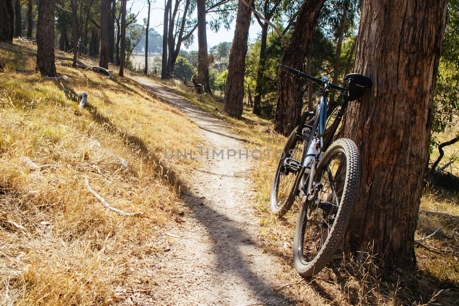 Smiths Gully, Australia - January 26 2016: The popular Smiths Gully trails near Melbourne in Victoria, Australia
