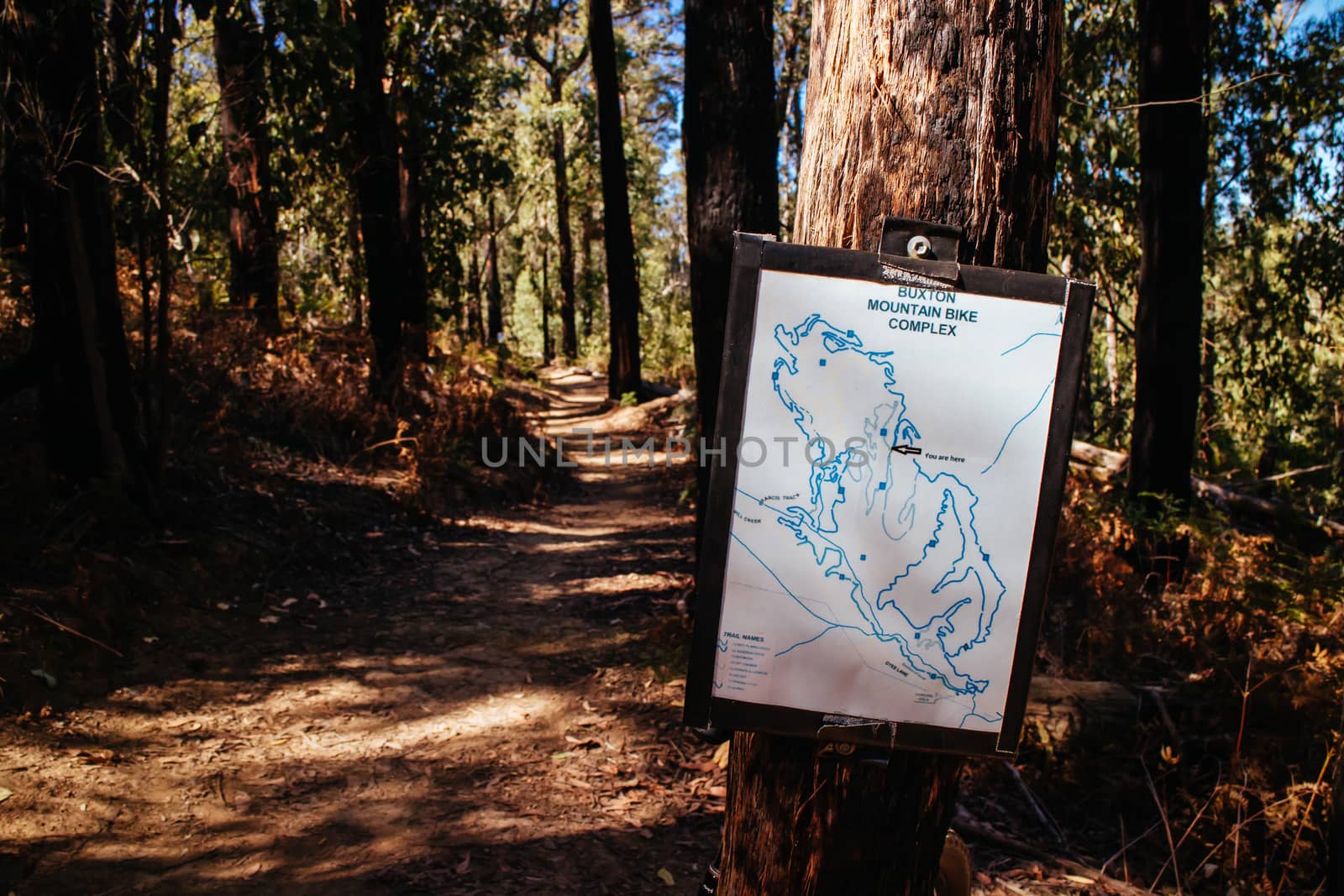 The popular Buxton mountain bike park in Black Range State forest near Marysville in Victoria, Australia