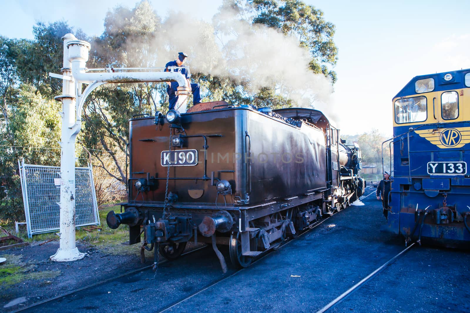 Heritage Steam Train in Maldon Australia by FiledIMAGE