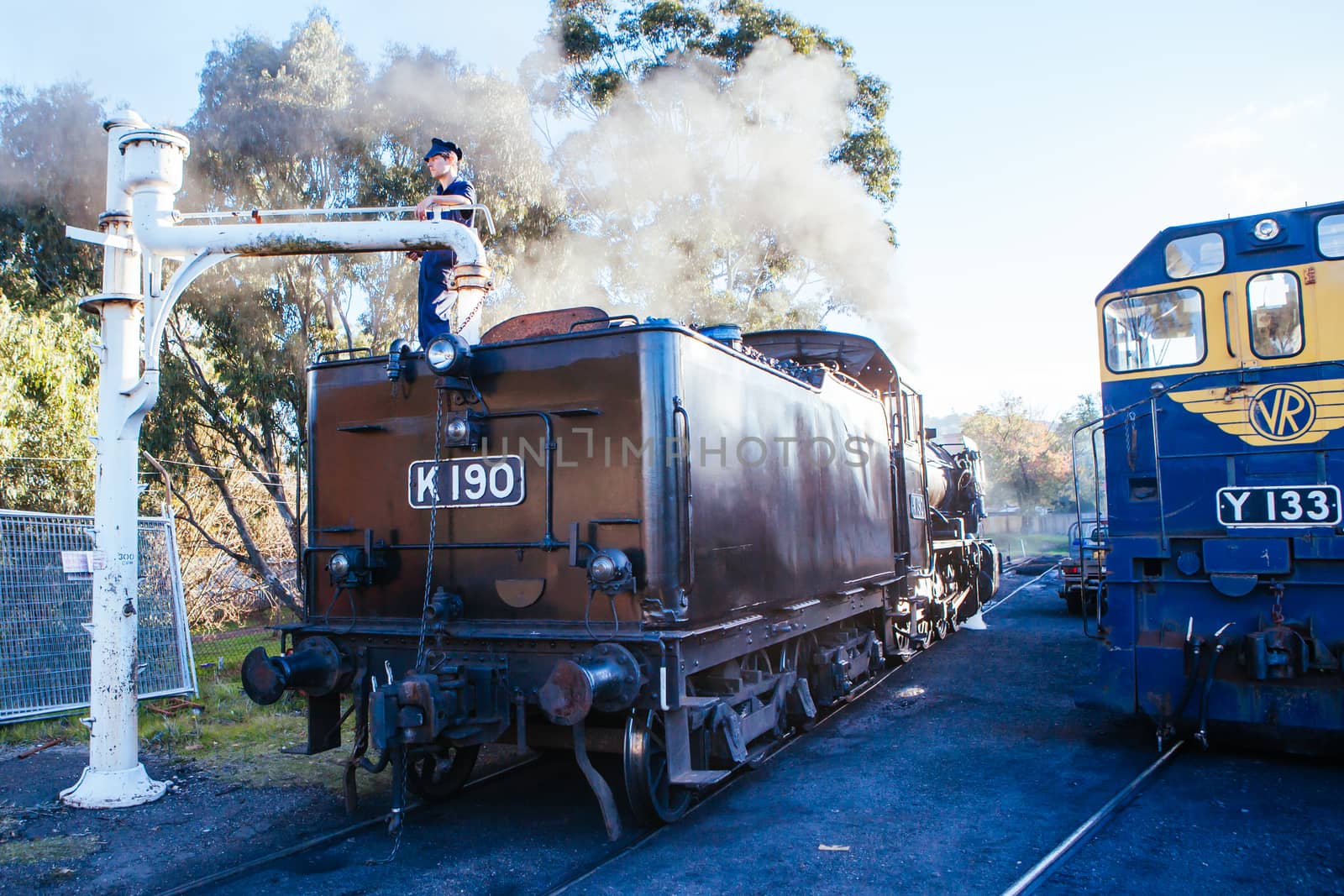 Heritage Steam Train in Maldon Australia by FiledIMAGE