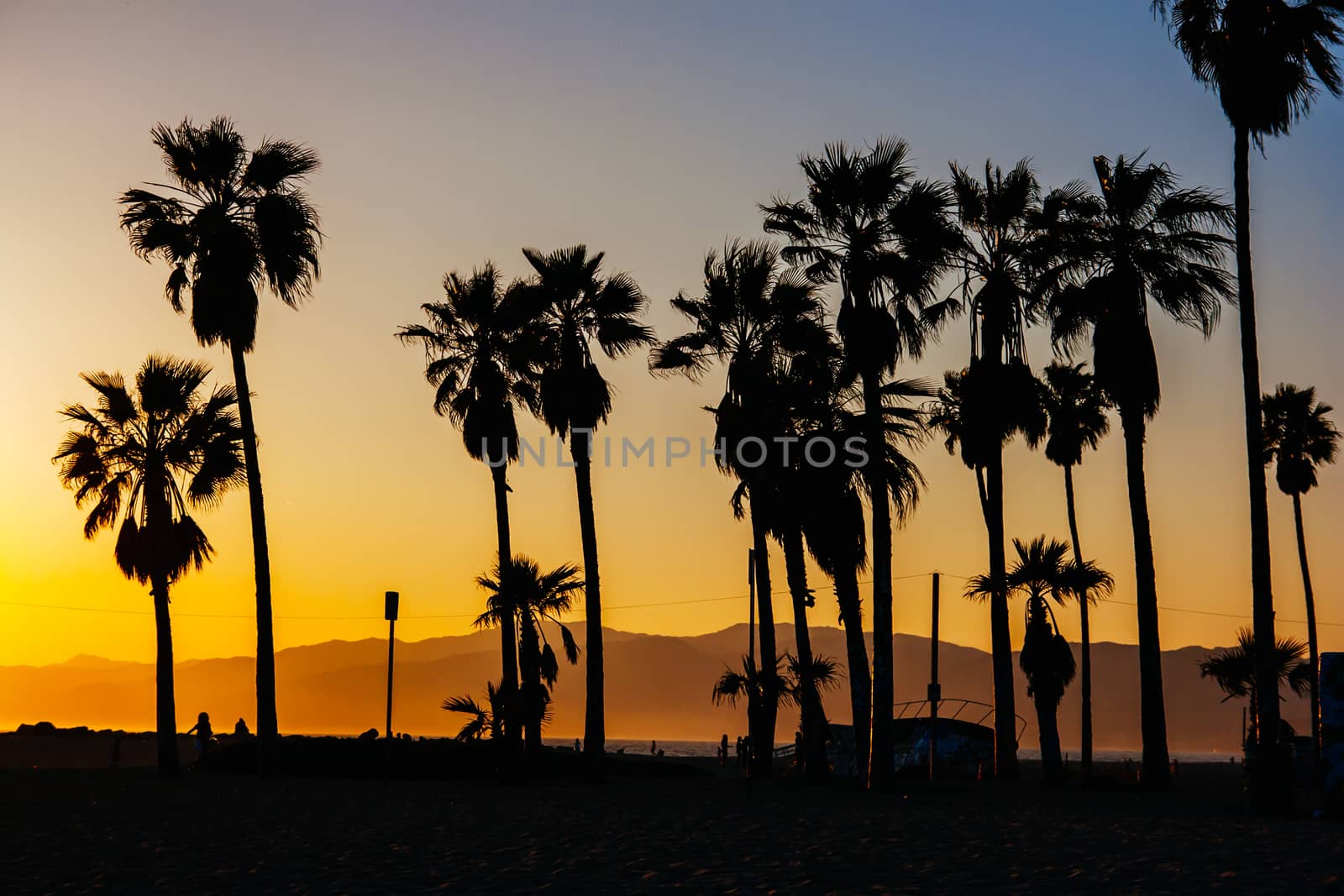 Venice Beach pier at sunset on a warm day in Los Angeles, California, USA