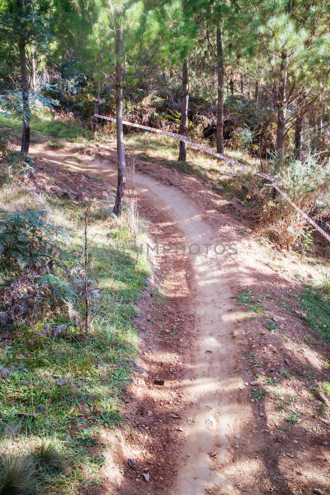 Bright Mountain Bike Park in Australia by FiledIMAGE