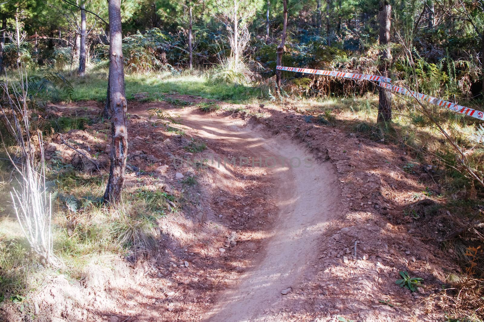 The popular Bright mountain bike park in Victoria, Australia