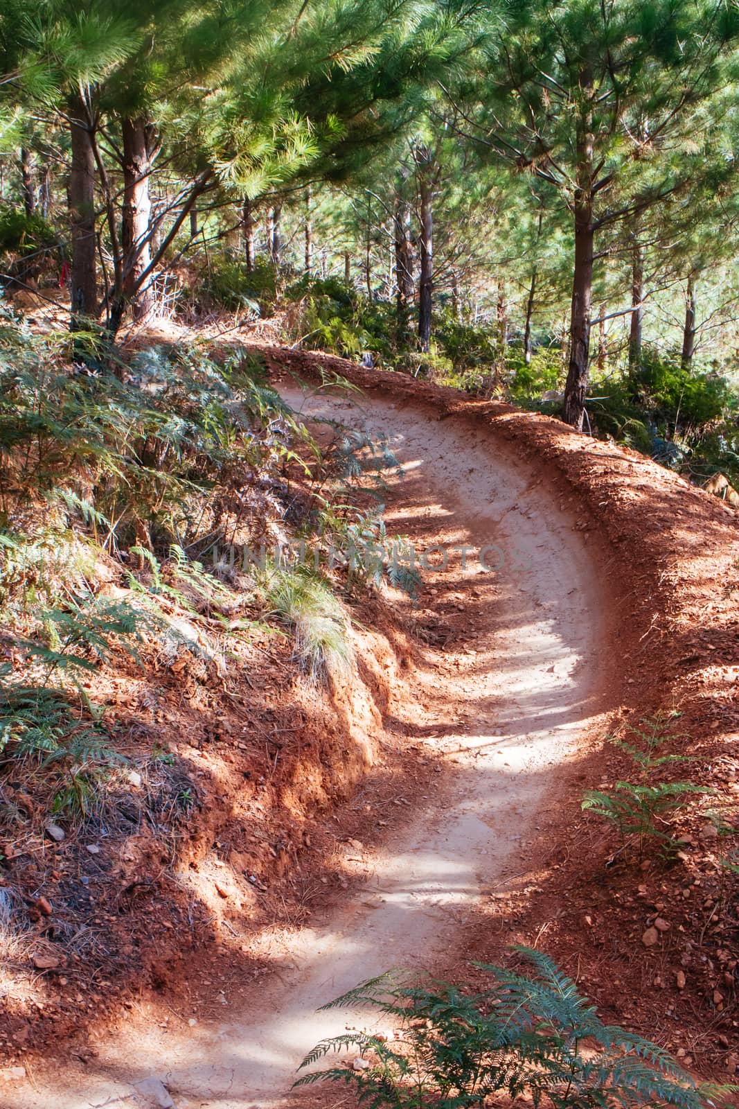 Bright Mountain Bike Park in Australia by FiledIMAGE