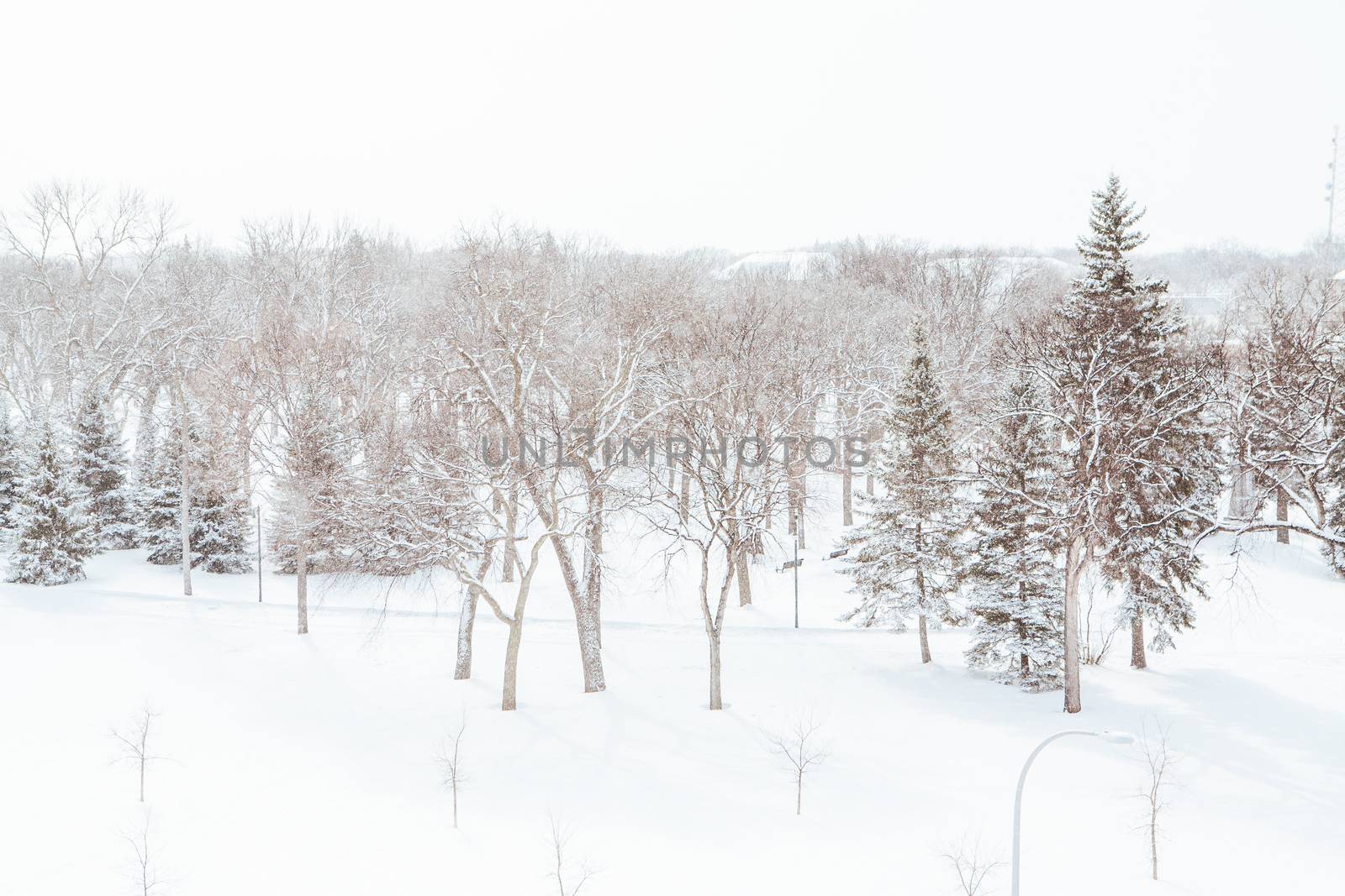 Island Park in Downtown Fargo covered in snow after a storm in North Dakota, USA