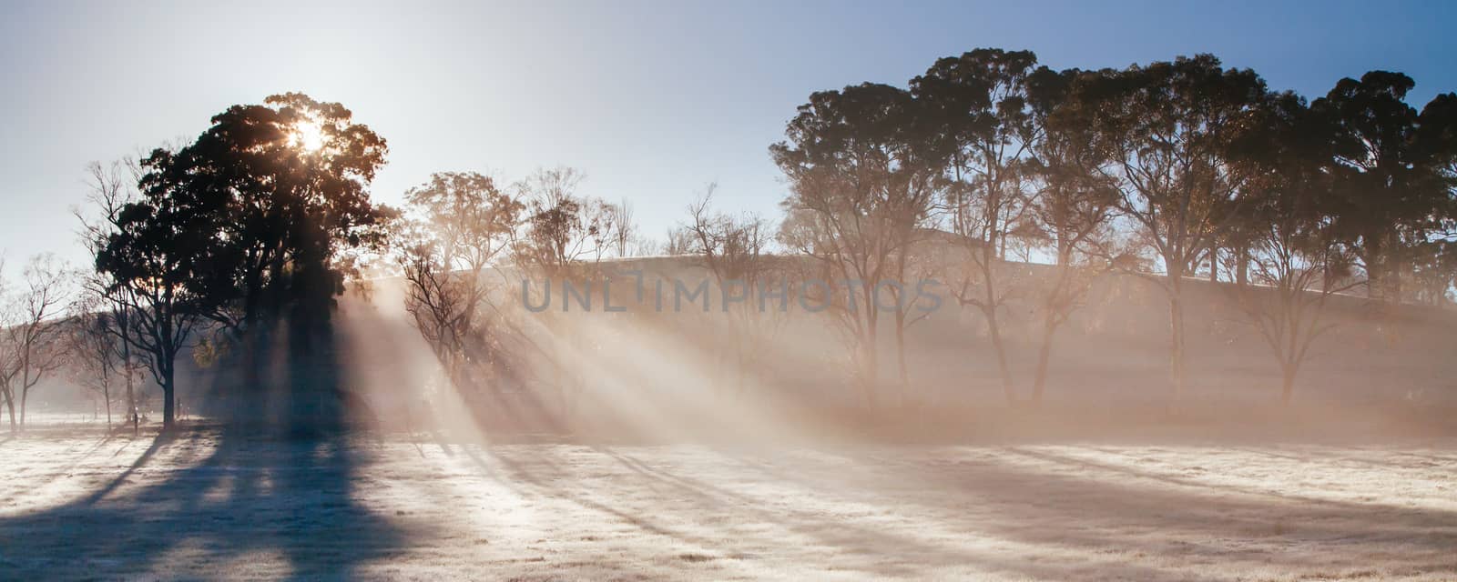 The winter sun rises on a cold misty and frosty morning in the Yarra Valley, Victoria, Australia