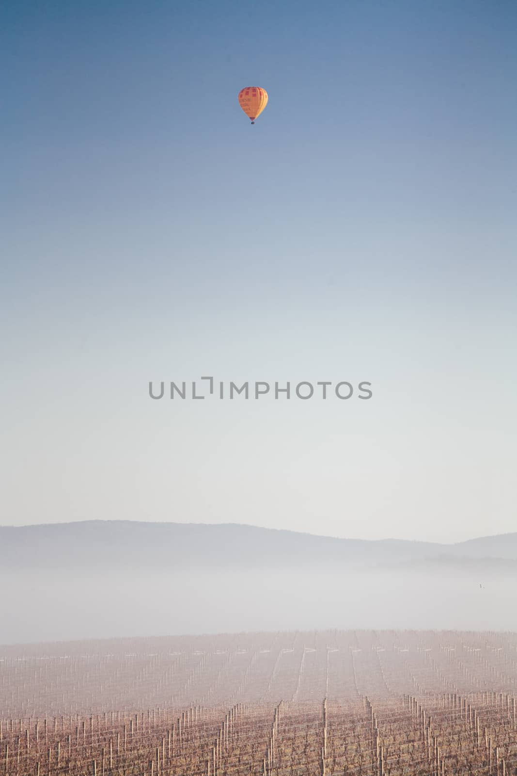 The winter sun rises on a cold misty and frosty morning in the Yarra Valley, Victoria, Australia