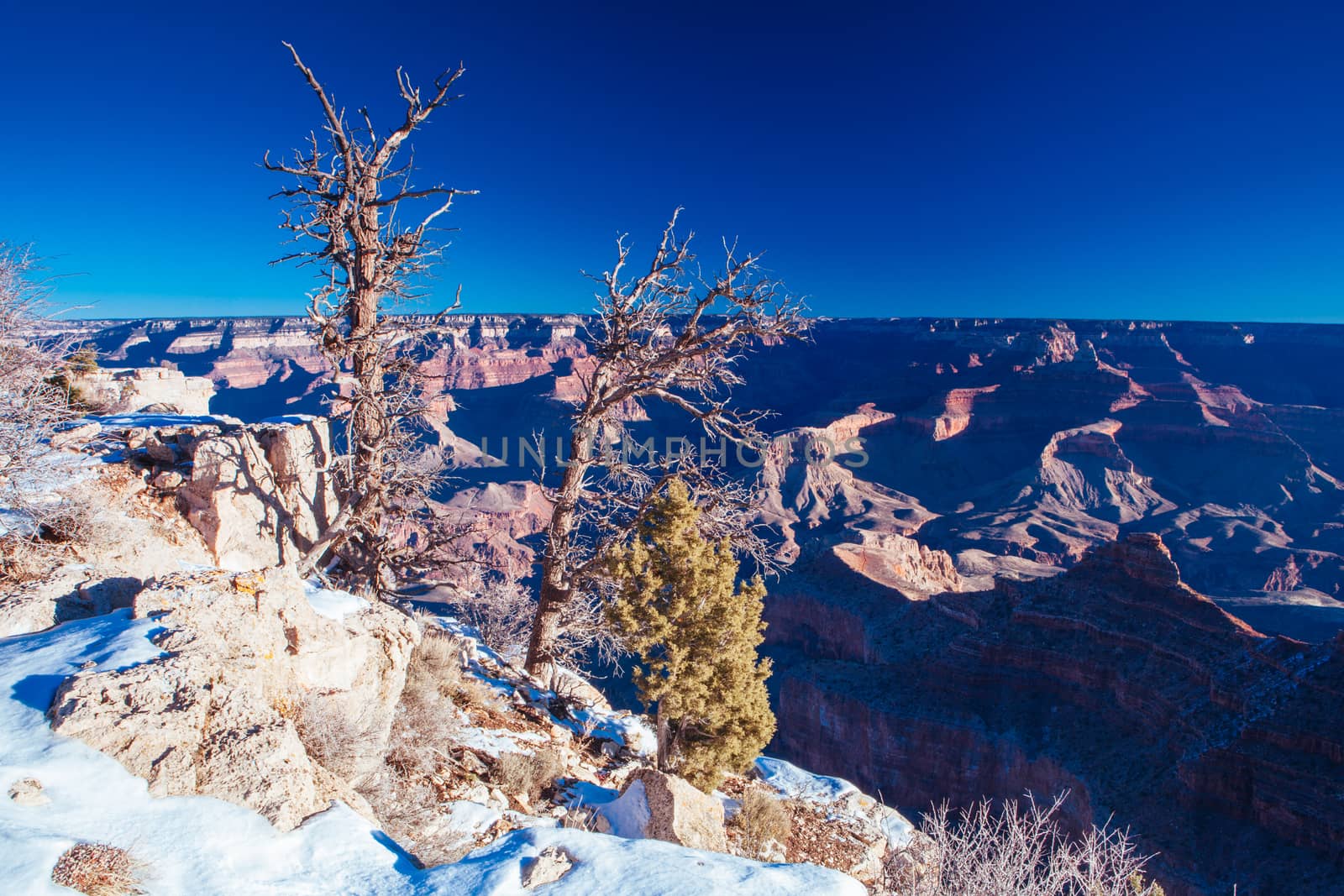 Daytime stunning views in winter around Grandview Point in Grand Canyon, Arizona, USA