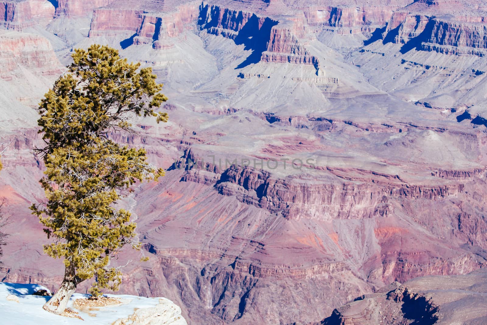 Daytime stunning views in winter around Grandview Point in Grand Canyon, Arizona, USA