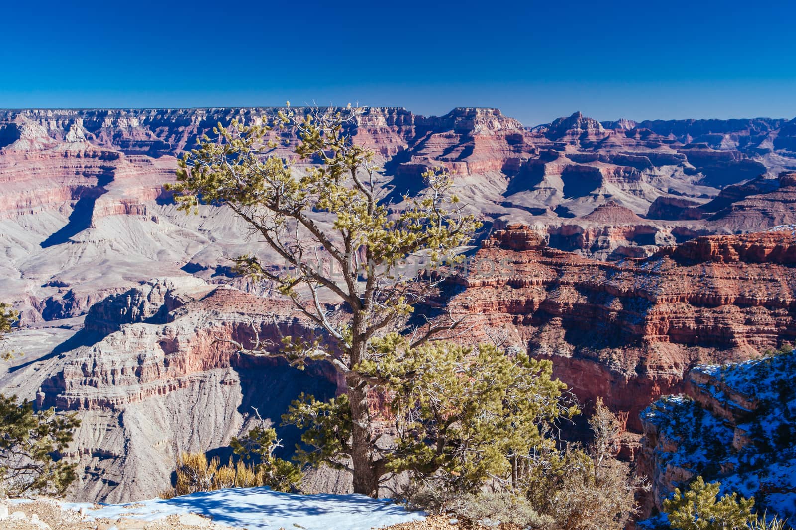 Daytime stunning views in winter around Grandview Point in Grand Canyon, Arizona, USA