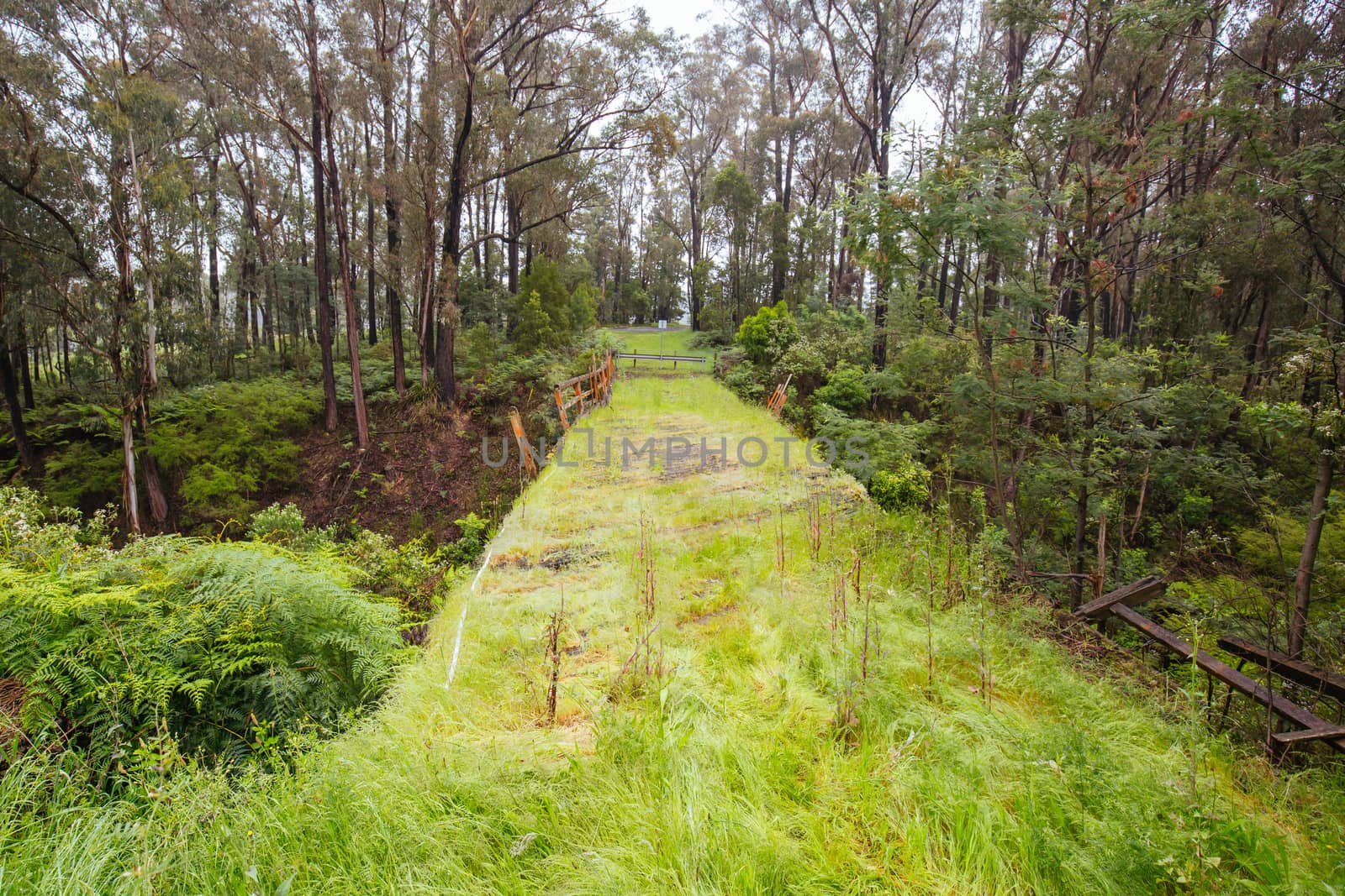 The famous Noojee Trestle Rail Bridge on a cool wet spring day in Victoria Australia