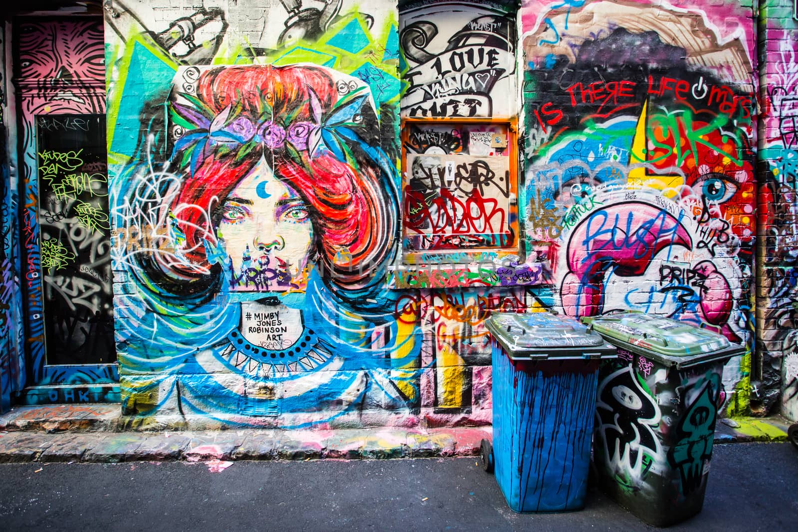 Melbourne, Australia - March 22, 2016: Street art and graffiti, famous in Melbourne laneways, seen on a summer's day