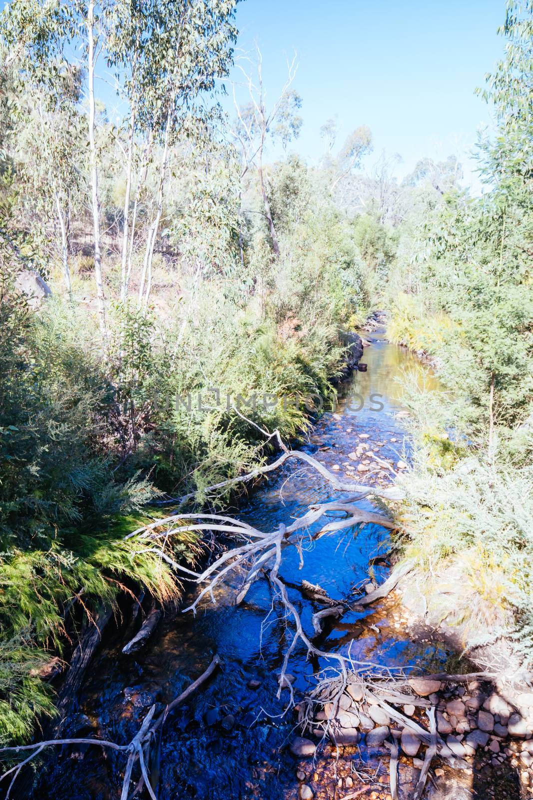 Mackenzie River picnic area in Zumsteins historic area in Grampians National Park in Victoria Australia