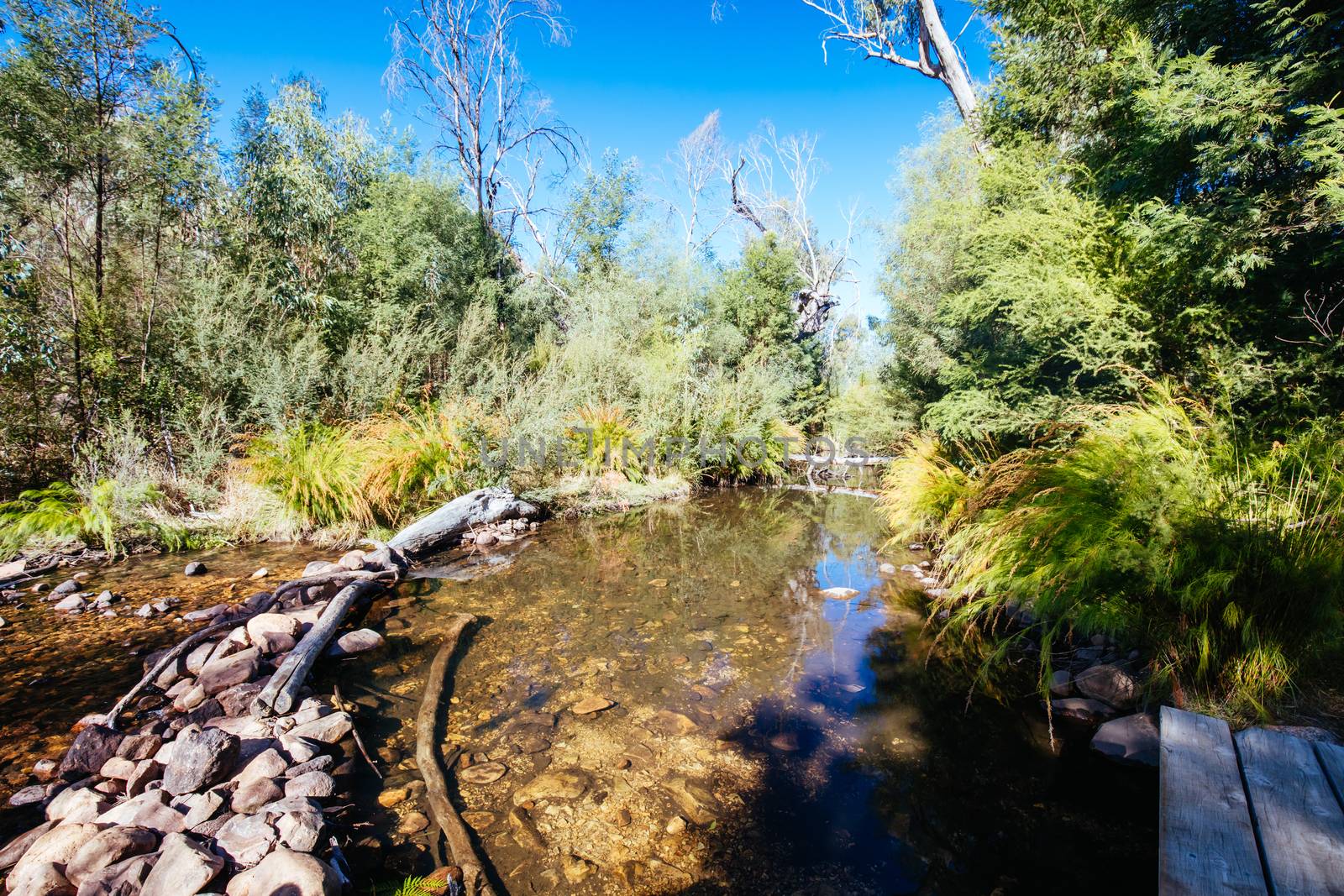 Mackenzie River picnic area in Zumsteins historic area in Grampians National Park in Victoria Australia