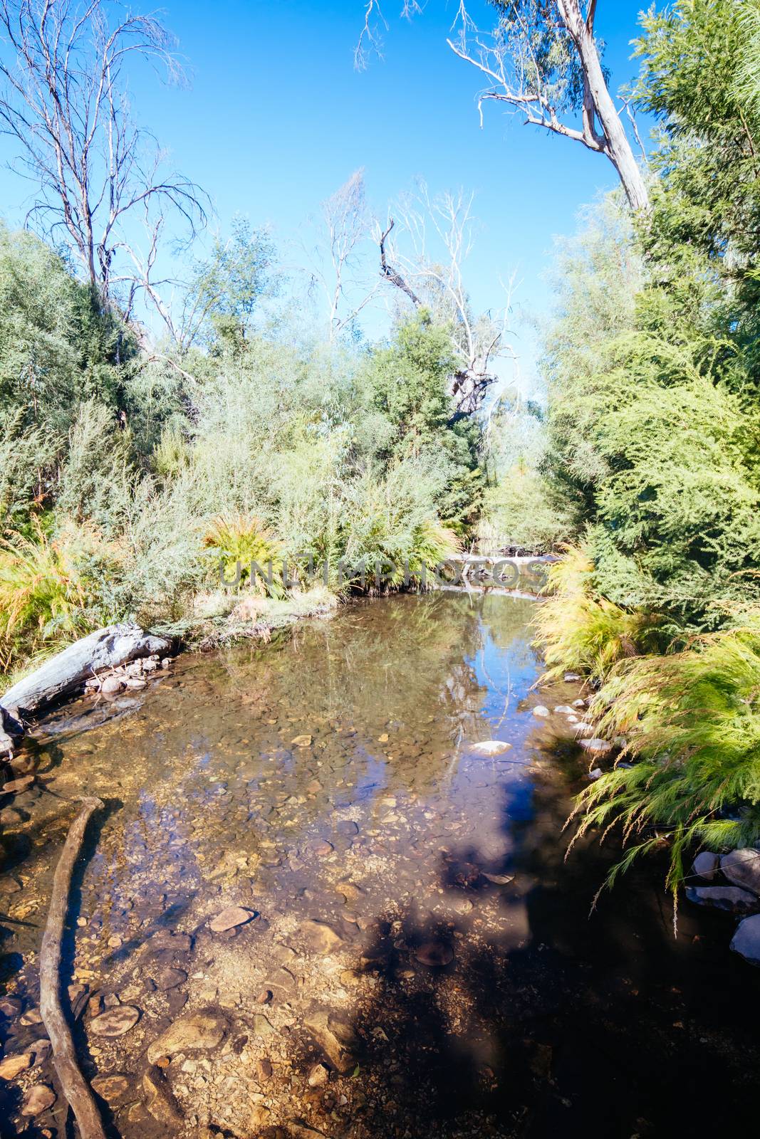 Mackenzie River picnic area in Zumsteins historic area in Grampians National Park in Victoria Australia