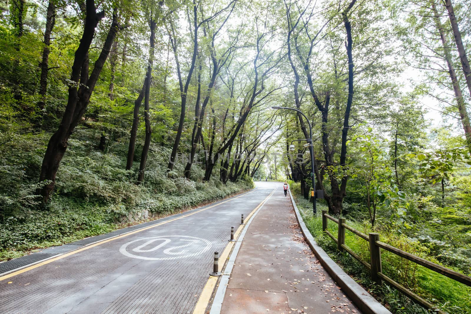 Road ascending to Namsan Tower in Namsan Park in Seoul, South Korea