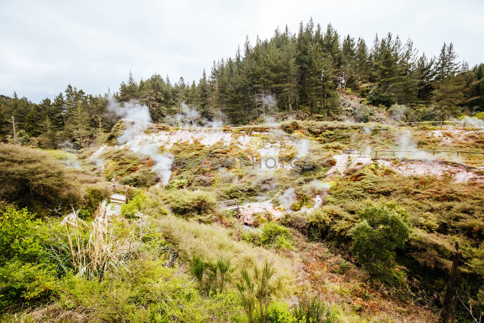 The volcanic and fascinating landscape of Wairakei Natural Thermal Valley near Taupo in New Zealand