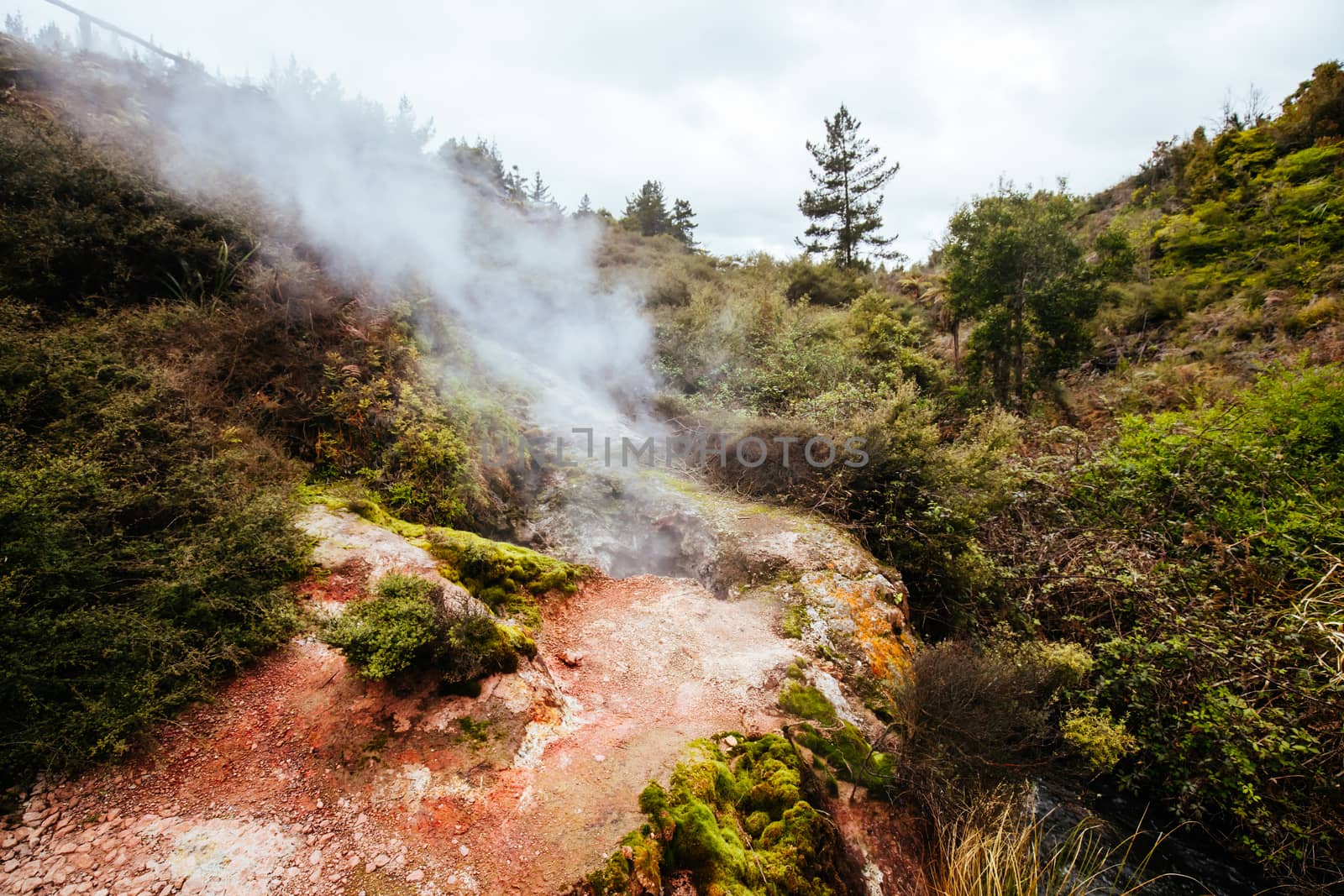 The volcanic and fascinating landscape of Wairakei Natural Thermal Valley near Taupo in New Zealand