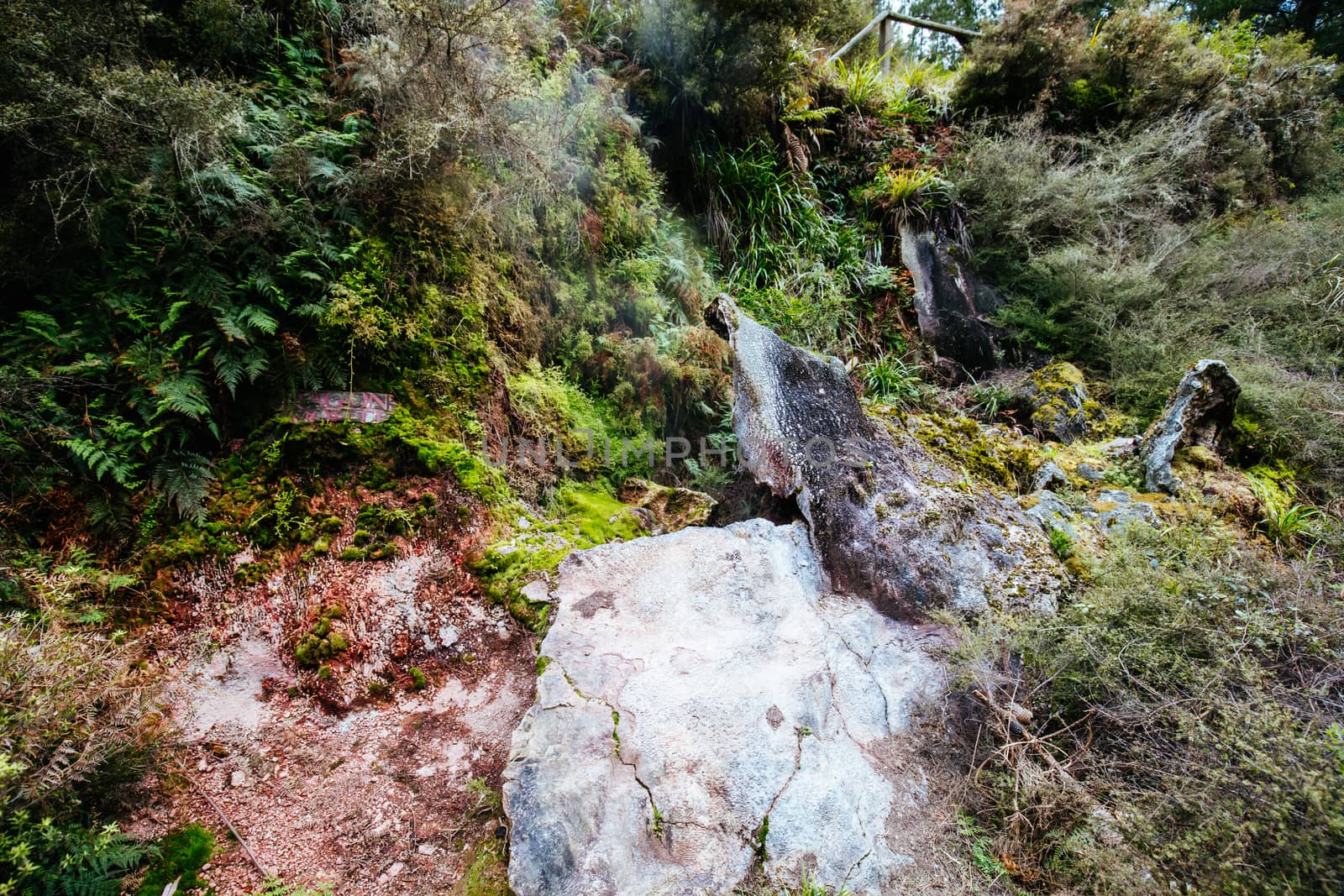 The volcanic and fascinating landscape of Wairakei Natural Thermal Valley near Taupo in New Zealand