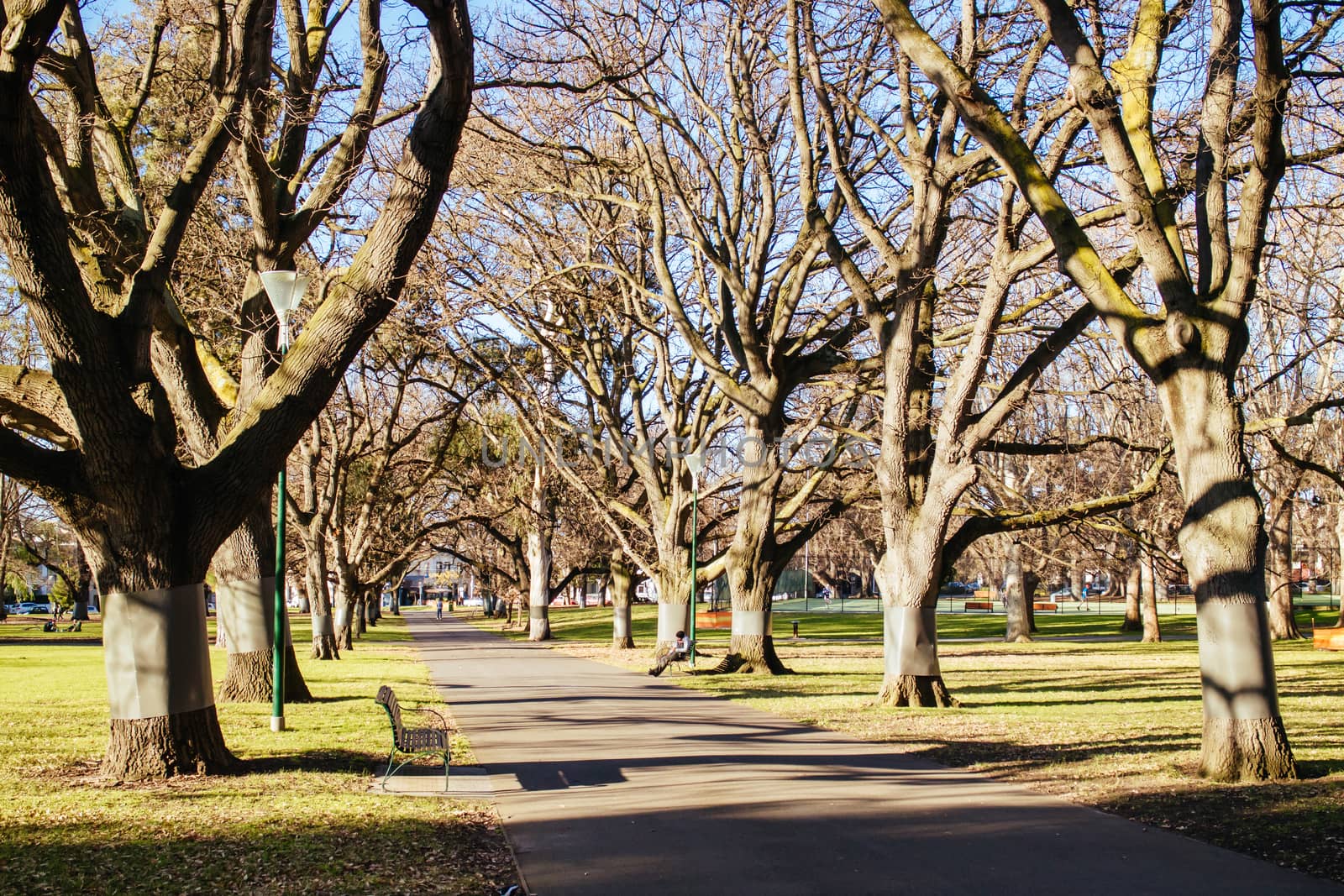 Carlton Gardens on a clear sunny winter's day in Melbourne Australia