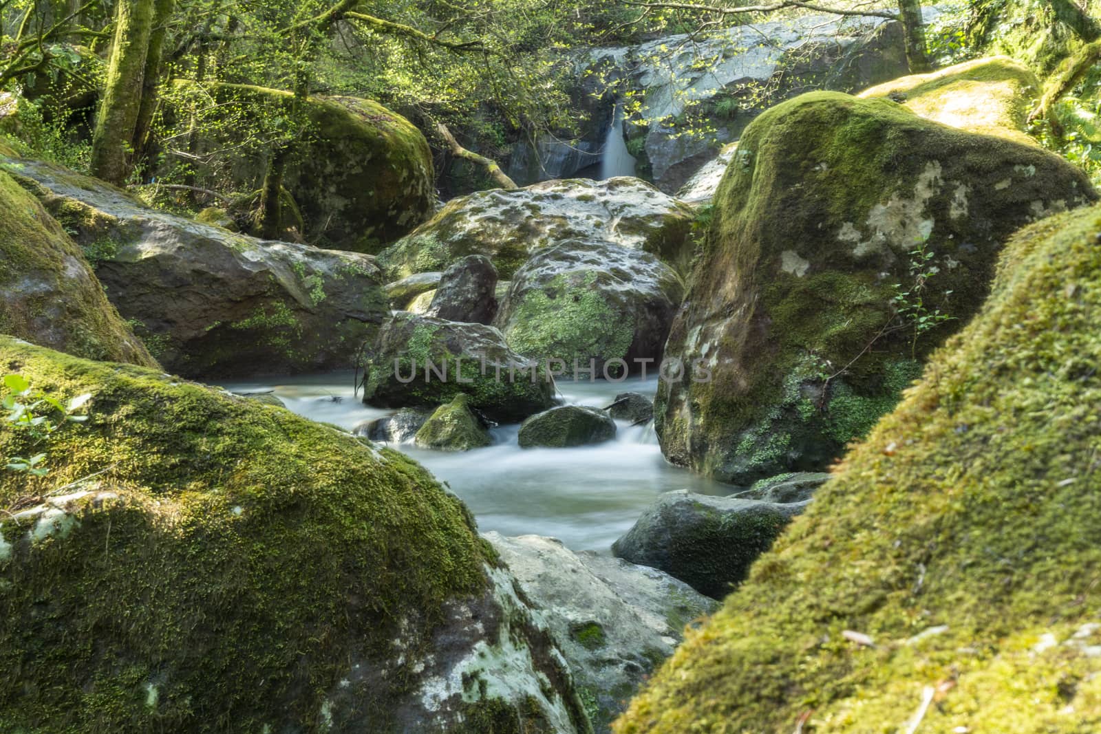 river of fosso castello in soriano nel cimino viterbo in the wood