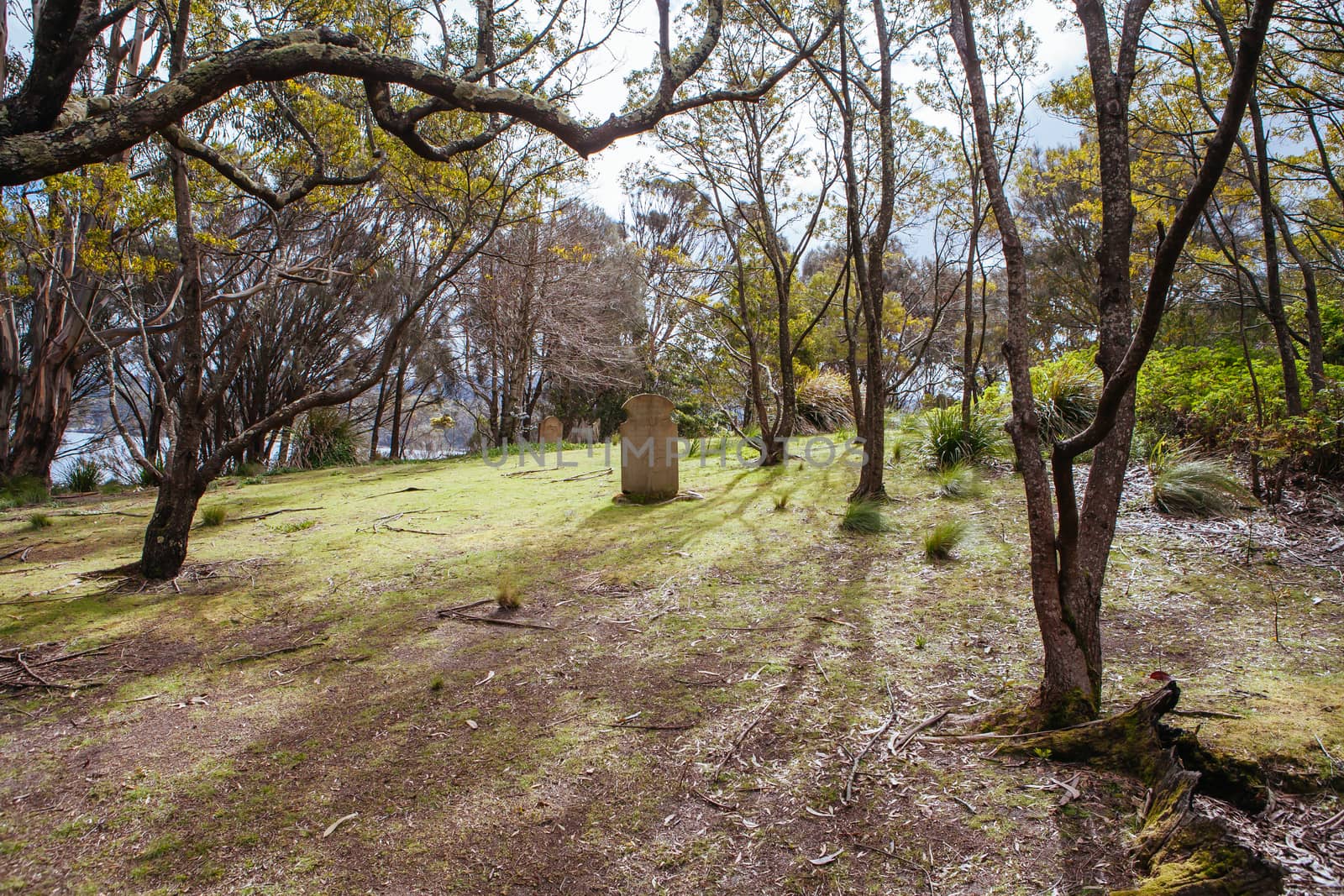 Port Arthur, Australia - September 21 2009: Isle of the Dead Cemetery at Port Arthur in Tasmania, Australia