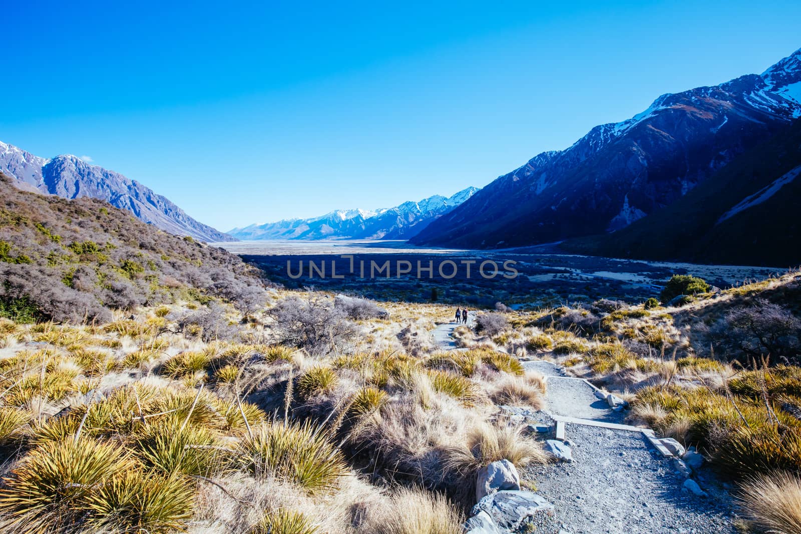 The view towards Lake Pukaki on the towards the Tasman Glacier near Mt Cook in New Zealand