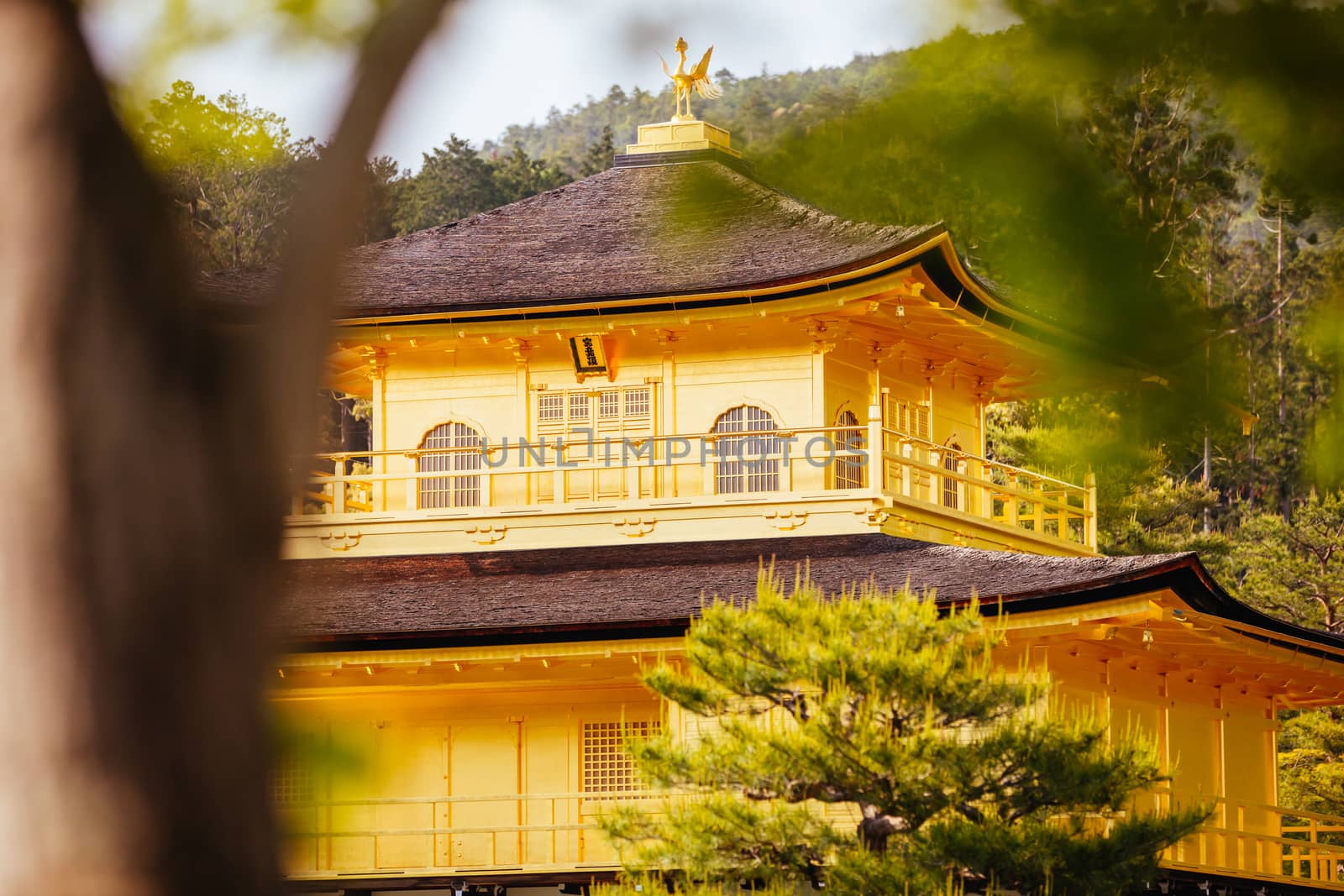The world famous Kinkakuji Temple (The Golden Pavilion) in Kyoto, Japan