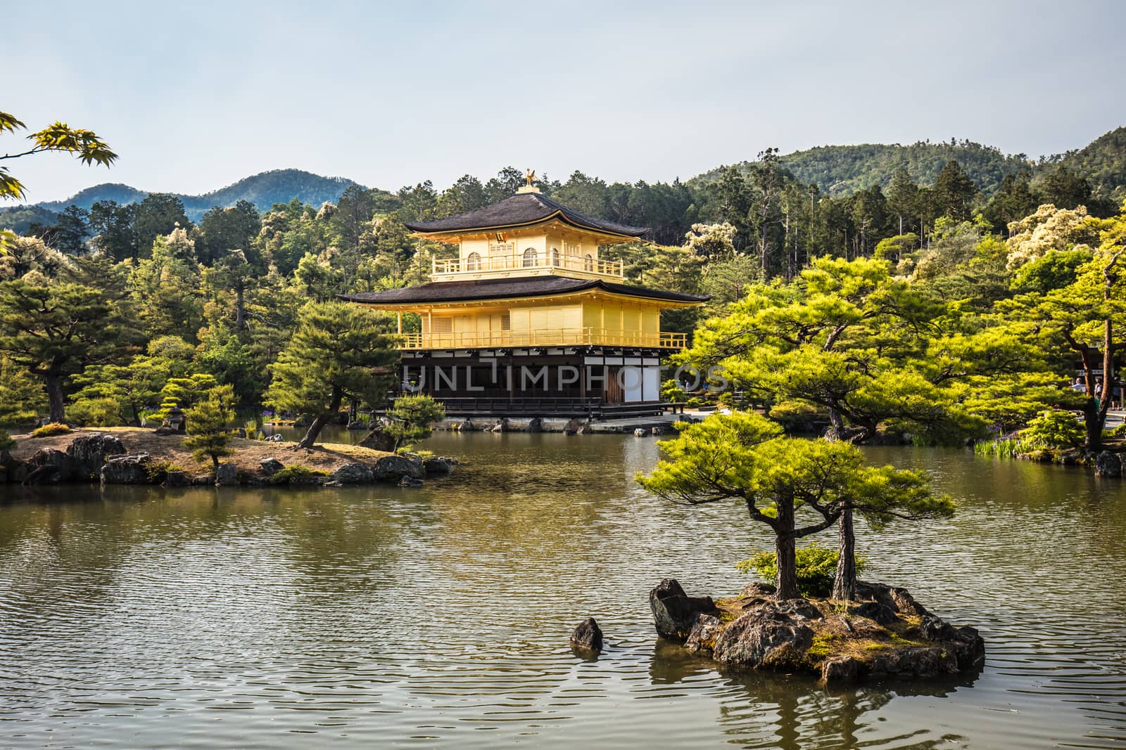 The world famous Kinkakuji Temple (The Golden Pavilion) in Kyoto, Japan
