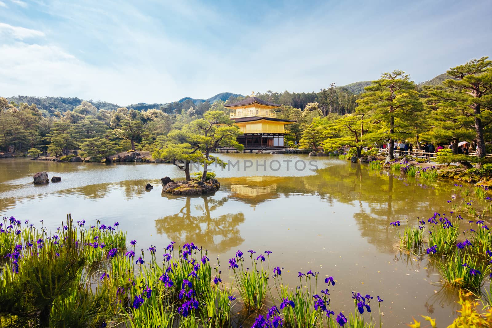 The world famous Kinkakuji Temple (The Golden Pavilion) in Kyoto, Japan