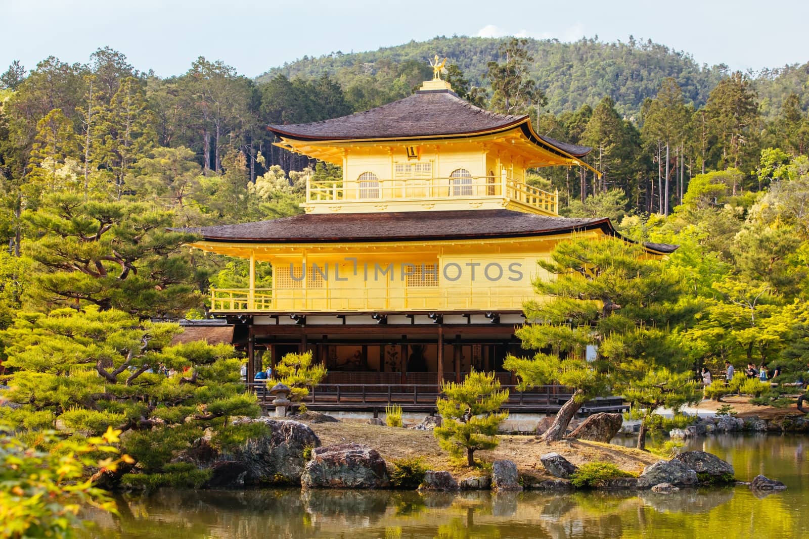 The world famous Kinkakuji Temple (The Golden Pavilion) in Kyoto, Japan