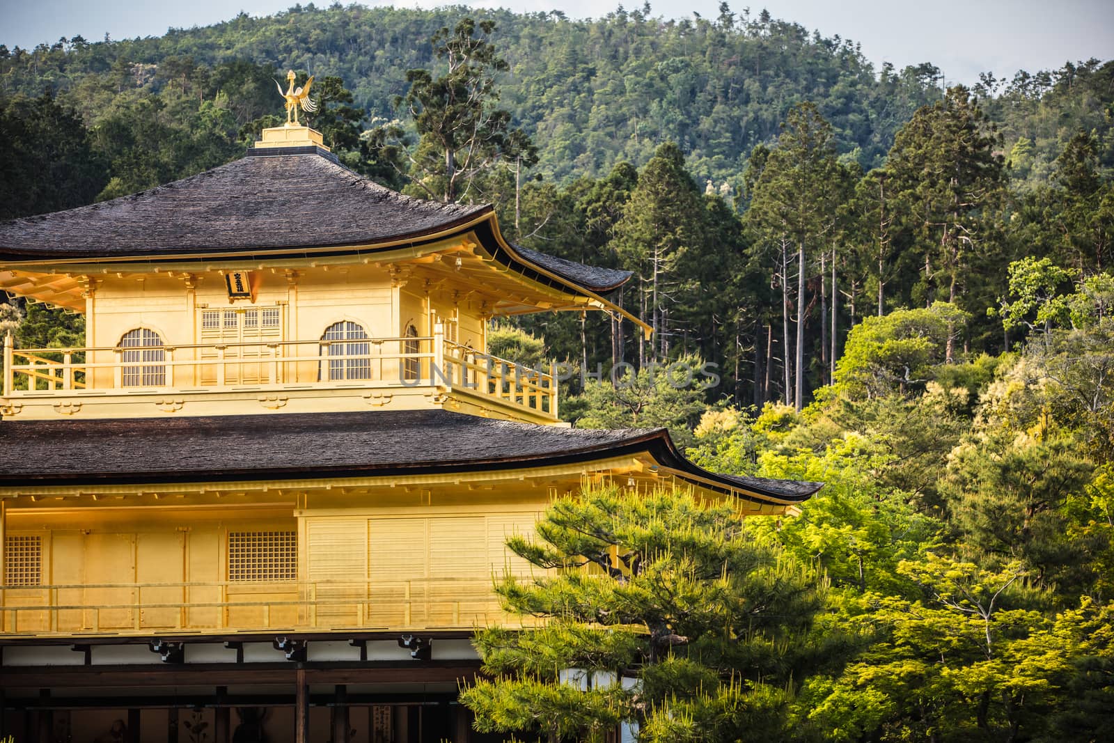The world famous Kinkakuji Temple (The Golden Pavilion) in Kyoto, Japan