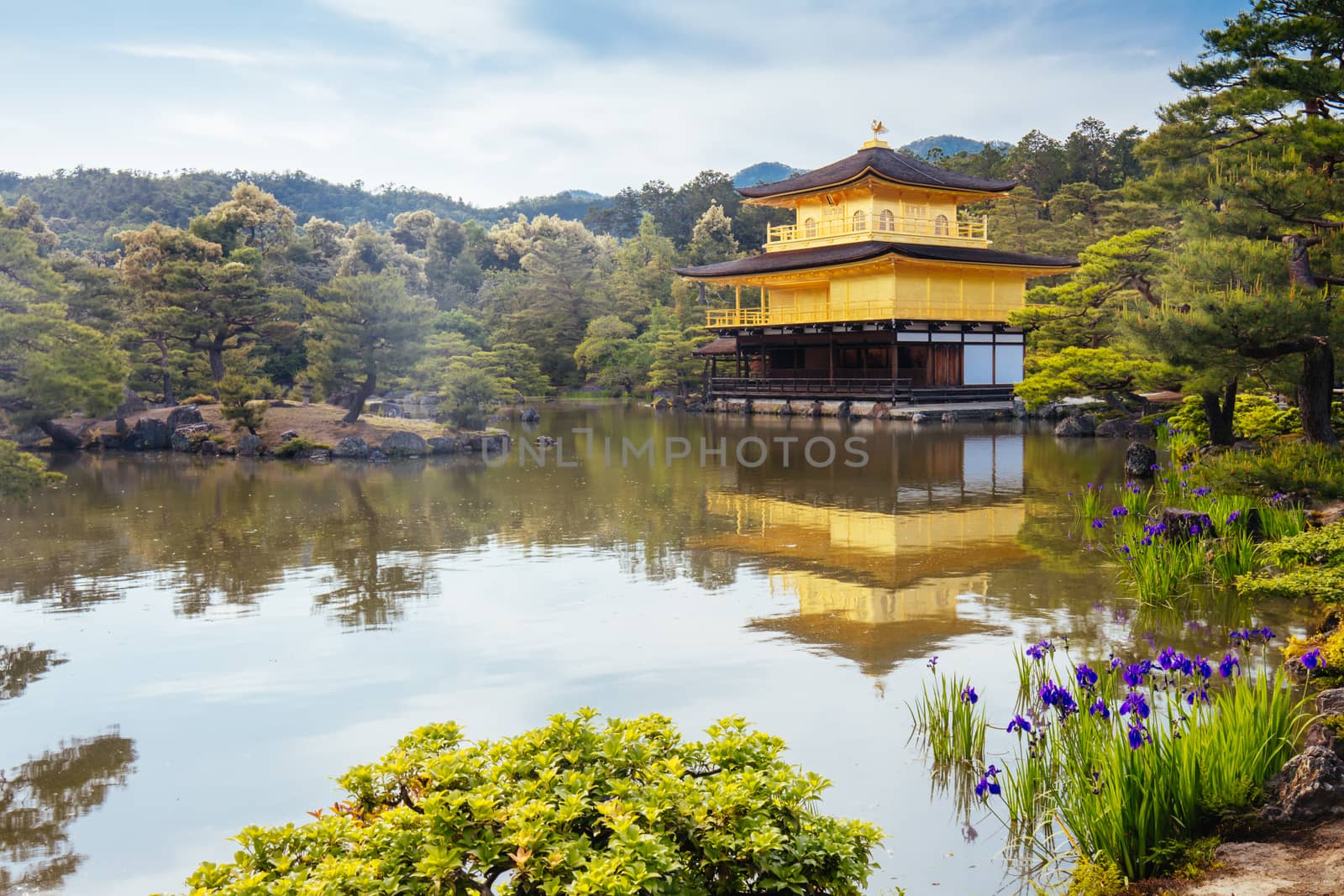 The world famous Kinkakuji Temple (The Golden Pavilion) in Kyoto, Japan