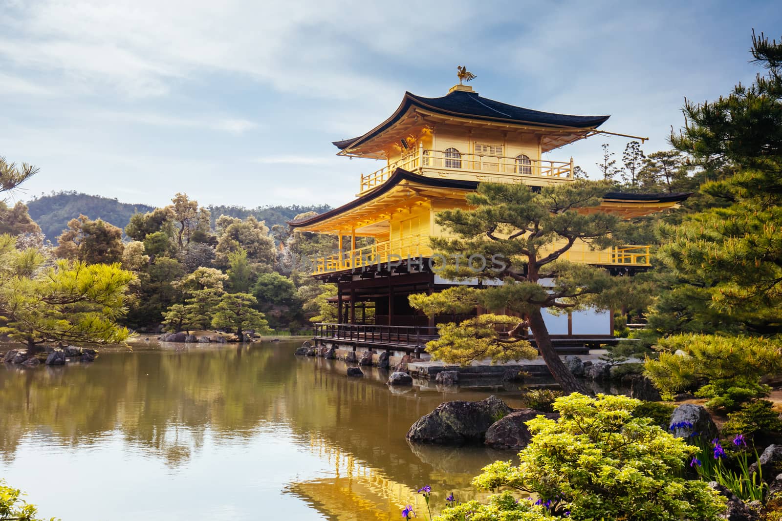 The world famous Kinkakuji Temple (The Golden Pavilion) in Kyoto, Japan
