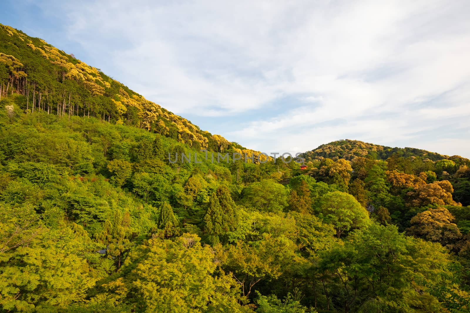 The iconic Kiyomizu-dera temple and mountain view on a sunny spring day in Kyoto, Japan