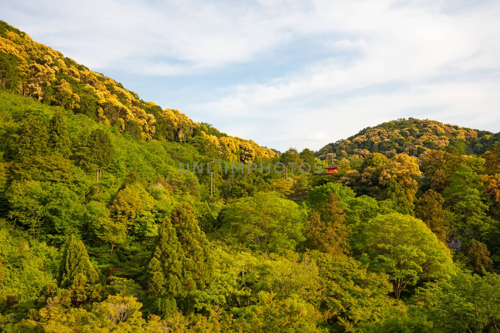 The iconic Kiyomizu-dera temple and mountain view on a sunny spring day in Kyoto, Japan