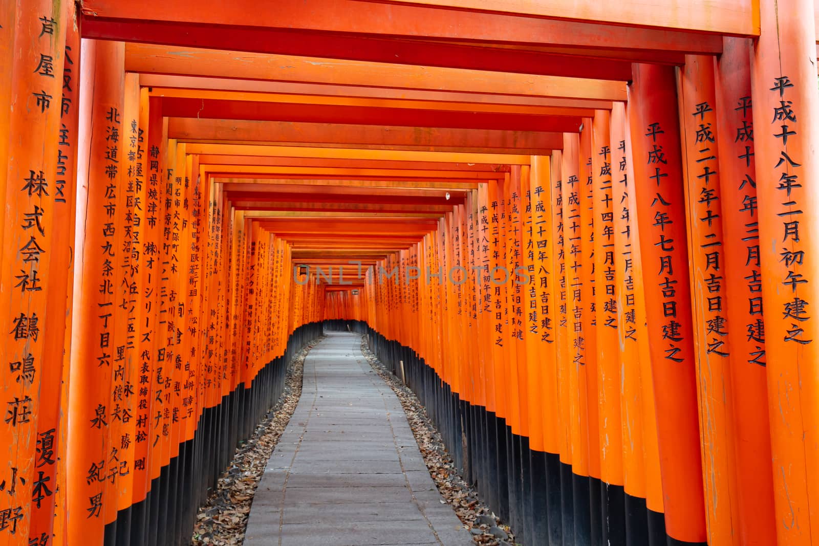 Red Tori Gate at Fushimi Inari Shrine in Kyoto, Japan. One of the largest tourist attractions in Japan