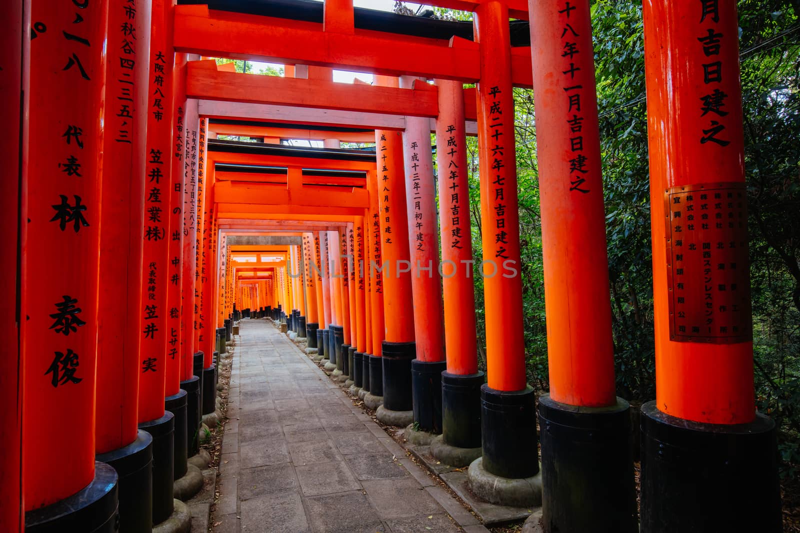 Red Tori Gate at Fushimi Inari Shrine in Kyoto, Japan. One of the largest tourist attractions in Japan